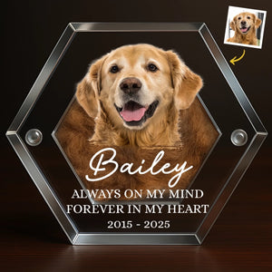 Custom Photo Pet Fur Keepsake - Personalized Pet Memorial Sympathy Gifts For Dogs, Cats, Loss Of Dog - Always In My Heart