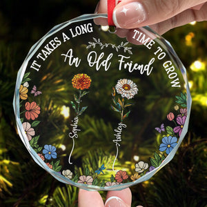 Long Time To Grow Old Friends - Personalized Anniversary Glass Ornament