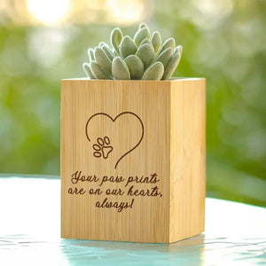 Personalised Pet Line Drawing Dog Cat Paw Print Wooden Flower Pot Sympathy Memorial Gift for Loss of Pet