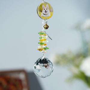 Personalized Photo Crystal Pet Souvenir Light Trap Sun Catcher Memorial Dog/Cat Gift
