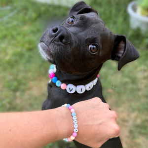Personalized Bracelet - Match Your Dog or Cat Collar from Willadore Collar