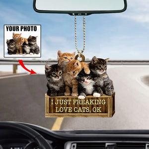 Personalized Photo Mica Ornament-I Just Freaking Love Cats/Dogs,Ok- For Cat/Dog Lover