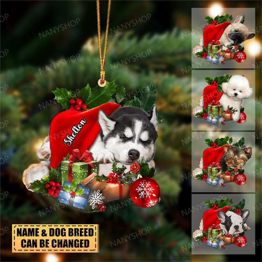 Personalized Dog Sleeping In Hat-Two Sided Ornament