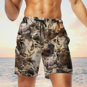 TX longhorn Herd Shorts