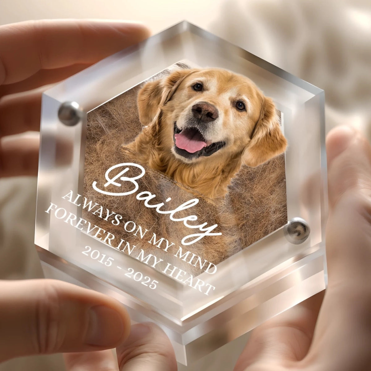 Custom Photo Pet Fur Keepsake - Personalized Pet Memorial Sympathy Gifts For Dogs, Cats, Loss Of Dog - Always In My Heart