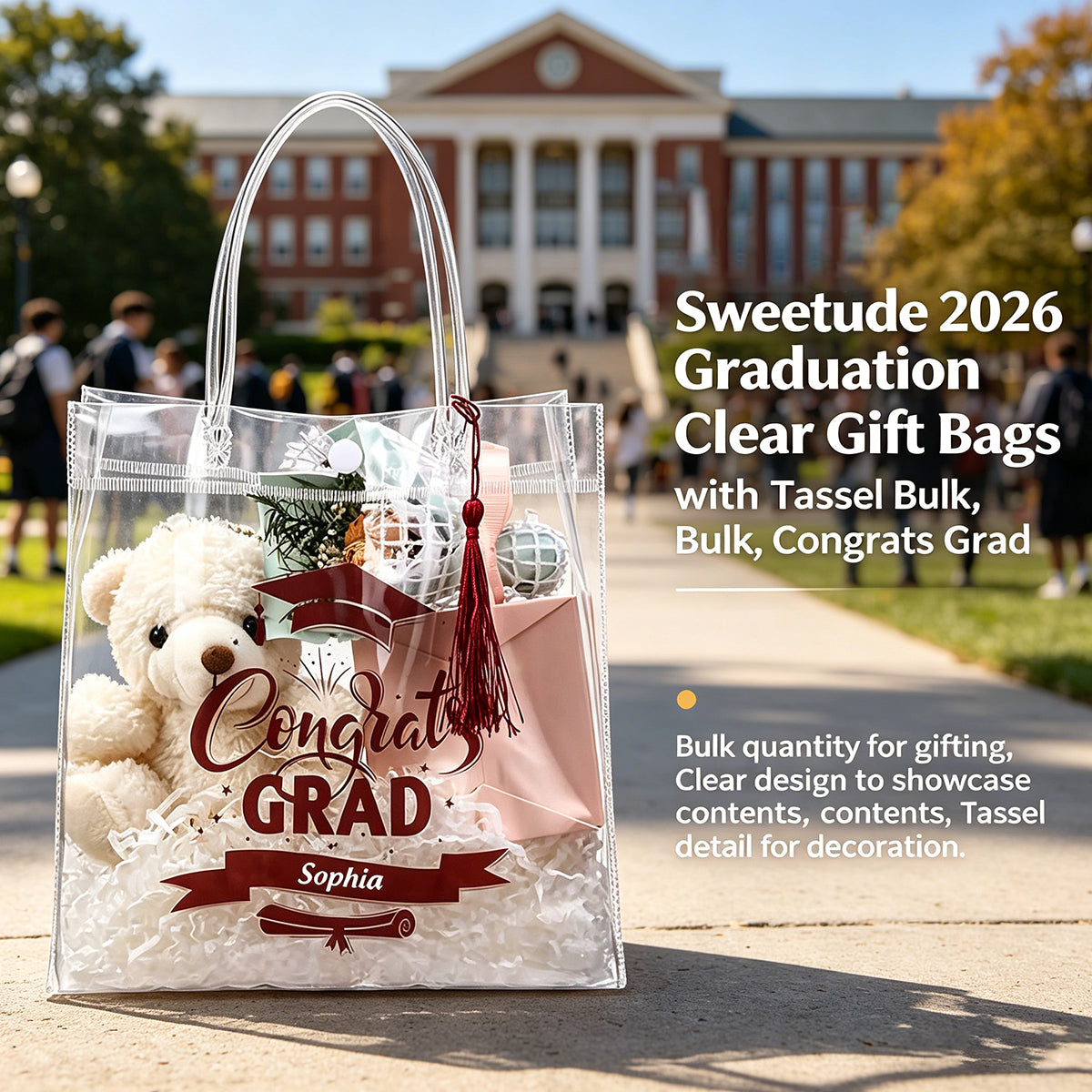 Sweetude 2026 Graduation Clear Gift Personalized Bags with Tassel Bulk, Congrats Grad