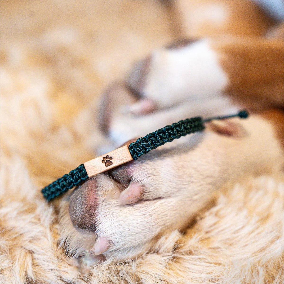 Personalized Pet Paw Pet Name Bracelet Dog Cat Memorial Keepsake Gift