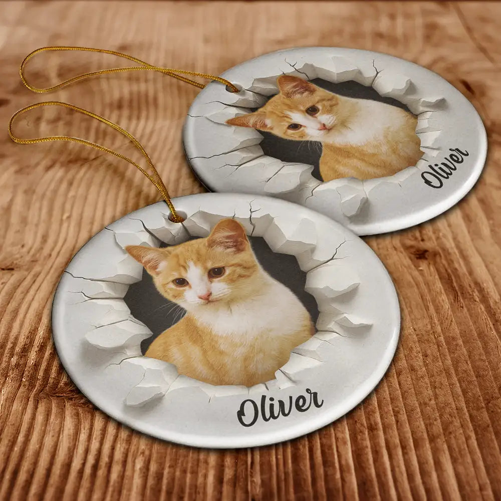 Custom Photo Snow Hole Funny Dog Cat Pet - Personalized Circle Ceramic Ornament
