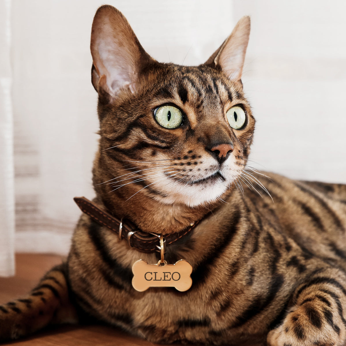 Personalized Stainless Steel Engraved Bone Shaped Dog Tag