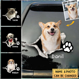 Cute Dog, Cat Pet Crack Personalized Funny Pet Decal/Sticker