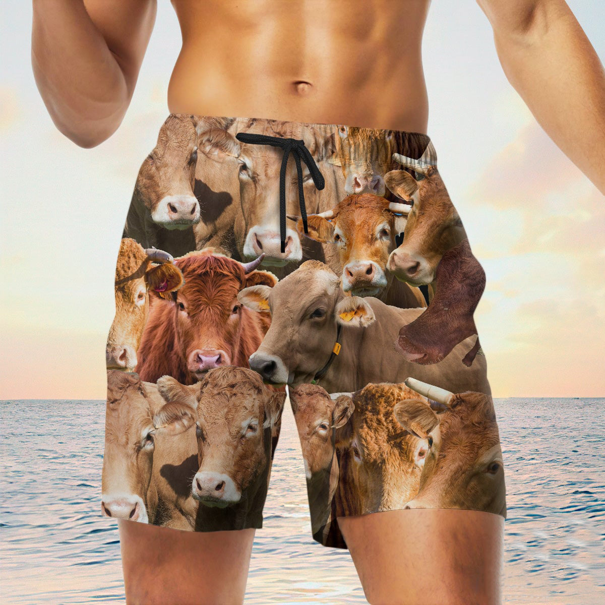 Limousin Herd Shorts