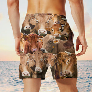 Limousin Herd Shorts