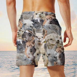 Llama Herd Shorts