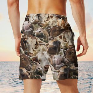 TX longhorn  Herd Shorts