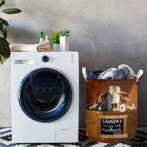 Brahman-laundry today or naked tomorrow laundry basket