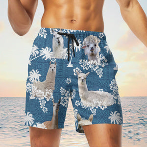 llama Blue Tribal Shorts