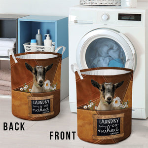 PYGMY-laundry today or naked tomorrow laundry basket