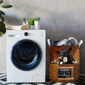 Belted Galloway-laundry today or naked tomorrow laundry basket
