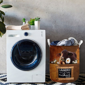 Santa gertrudis cattle2-laundry today or naked tomorrow laundry basket