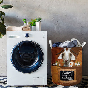 SPANISH-laundry today or naked tomorrow laundry basket