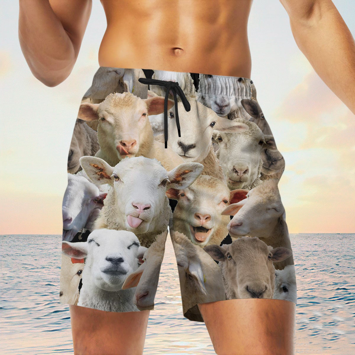 sheep Herd Shorts