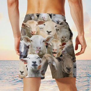 sheep Herd Shorts